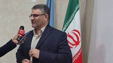 تکذیب آمارسازیهای رسانههای بیگانه از کشتهشدگان اغتشاشات / اخبار بوشهر - اخبار استانها