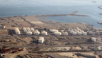 ضرورت توسعه صنعت بانکرینگ در قشم / اخبار جزایر خلیج فارس - اخبار استانها