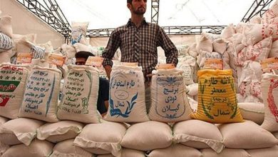 ماجرای تکاندهنده عرضه برنج خارجی در کیسههای ایرانی / اخبار کرمانشاه - اخبار استانها
