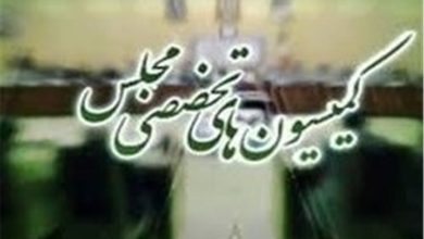 حضور 8 وزیر دولت در کمیسیونهای مجلس / اخبار سیاسی روز , اخبار مجلس