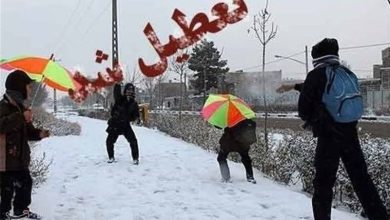 سرمای بیسابقه کردستان؛ تعطیلی مدارس در تمام مقاطع تحصیلی / اخبار کردستان - اخبار استانها