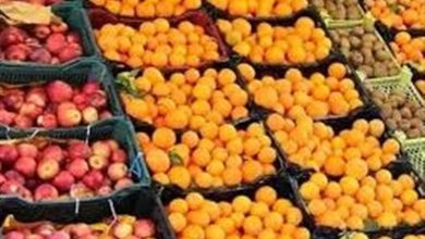 تامین اقلام اساسی برای ماه مبارک رمضان/ذخیره سازی 400 تن میوه شب عید / اخبار مازندران - اخبار استانها