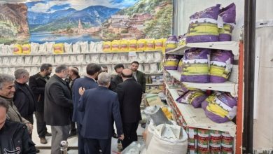 شارژ کالابرگ برای یکمیلیون و 44 هزار خانوار یارانهبگیر مازندران / اخبار مازندران - اخبار استانها