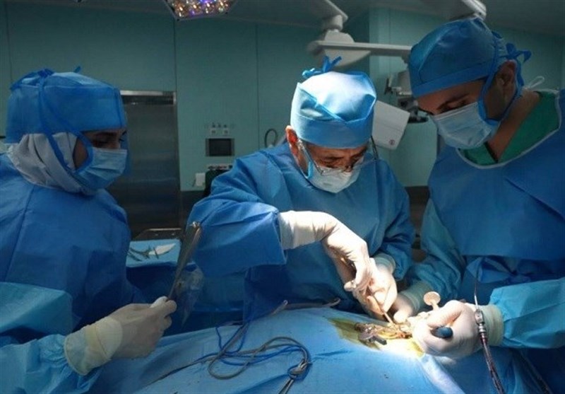 شیراز اردیبهشتماه 1405 میزبان کنگره ملی تروما / اخبار فارس - اخبار استانها