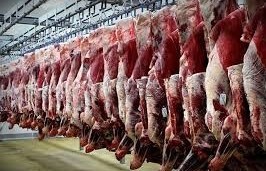 افزایش 8 درصدی تولید گوشت قرمز در قزوین / اخبار قزوین - اخبار استانها