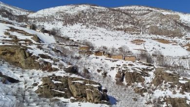 آخرین وضعیت گیلان 5 روز بعد از برف / اخبار گیلان - اخبار استانها