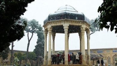 نعمت برف بر زمین نشست/جشن برف در خیابانها و باغهای شیراز / اخبار فارس - اخبار استانها