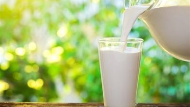 مهریز رتبه نخست تولید شیر در استان یزد را کسب کرد / اخبار یزد - اخبار استانها