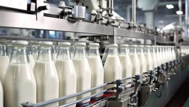 نخستین کارخانه پودر لبنیات سنندج افتتاح شد؛ ظرفیت تولید سالانه 2500 تن / اخبار کردستان - اخبار استانها