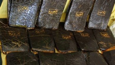 کشف 200 کیلوگرم تریاک در شمال استان بوشهر / اخبار بوشهر - اخبار استانها