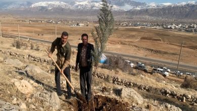 پویش نهالکاری به نیت حاج قاسم برگزار شد+تصاویر / اخبار کهگیلویه و بویراحمد - اخبار استانها