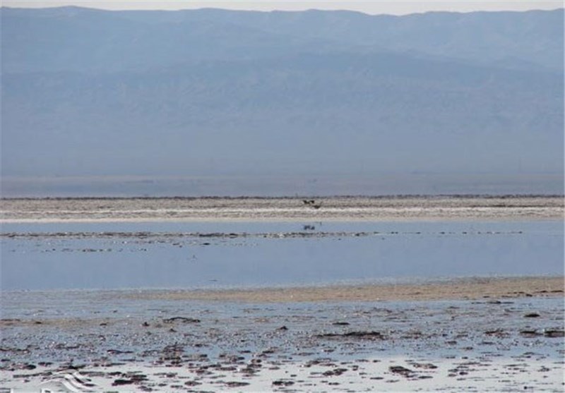 اجرای برنامه جامع تالاب کجی نمکزار نیازمند همافزایی دستگاهها / اخبار خراسان جنوبی - اخبار استانها