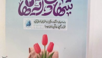 کتاب «شهادت آیهها»؛ روایت تجلی آیات قرآن کریم در سیره شهدا / اخبار قم - اخبار استانها