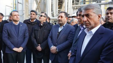 افتتاح همزمان چندین طرح صنعتی و کشاورزی در استان کرمان / افتتاح طرحهای صنعتی , استان کرمان , وزیر صمت , دهه فجر , رفسنجان