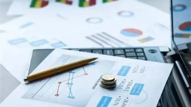 نقش کلیدی بانکها در توسعه اقتصادی پایدار کشورها / بانکها , توسعه اقتصادی , تسهیلات مالی , سرمایهگذاری , سیستم بانکی