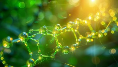 دستاوردی نوین در تولید هیدروژن پاک با استفاده از مواد کوانتومی / هیدروژن , انرژی خورشیدی , فوتوکاتالیست , مواد کوانتومی , تولید پاک