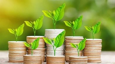 تأسیس صندوق پژوهش و فناوری با سرمایه ۴۰۰ میلیارد تومانی در راستای تمدنسازی / صندوق پژوهش و فناوری , تمدن اسلامی , دانشگاه جامع انقلاب اسلامی , پیشرفت علمی , تجاریسازی