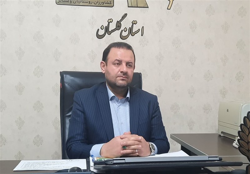 واریز عیدی و بسته معیشتی به حساب مستمریبگیران صندوق روستایی / اخبار گلستان - اخبار استانها