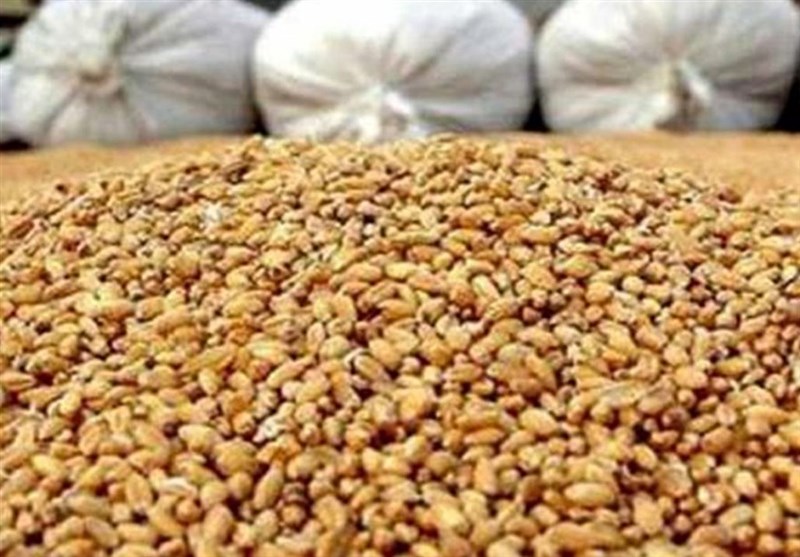 تولید 13 هزار تن نهاده دامی در خراسان شمالی / اخبار خراسان شمالی - اخبار استانها
