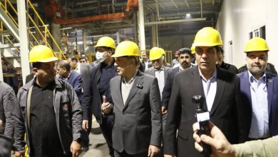 تأکید معاون رئیسجمهور بر جایگاه کرمان به عنوان قطب فولاد و خودروسازی کشور / کرمان , خودروسازی , صنعت فولاد , معاون رئیسجمهور , داخلیسازی