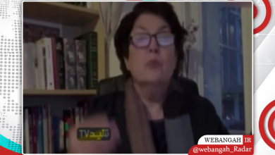 تحلیلگر سیاسی: عناصر وابسته به موساد در وقایع اخیر ایران نقش دارند/ملیحه محمدی/موساد/ایران/تحلیل سیاسی/رضا پهلوی