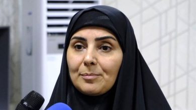 افتتاح همزمان ۱۲ هزار واحد مسکونی و ۱۲۰ کیلومتر بزرگراه در فارس/ تاکید وزیر بر تامین زمین و الزامات ایمنی / راه و شهرسازی , پروژههای عمرانی , فرزانه صادق , مسکن حمایتی , افتتاح پروژهها