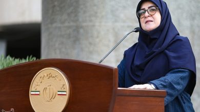 مهاجرانی: ارز دارو هیچ تغییری نکرده است / اخبار سیاسی روز , اخبار دولت