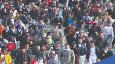 همایش بزرگ پیادهروی خانوادگی در دیر / اخبار بوشهر - اخبار استانها