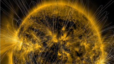 ترسیم اولین نقشه سهی میدان مغناطیسی پنهان خورشید / خورشید , میدان مغناطیسی , نجوم , فضا , تحقیقات علمی