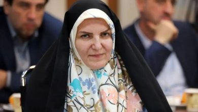 نوسانات اخیر بورس و واکنش مسئولان به ریسکهای اقتصادی / بورس , نوسانات بازار , سرمایهگذاری , ریسک سیاسی , اقتصاد ایران