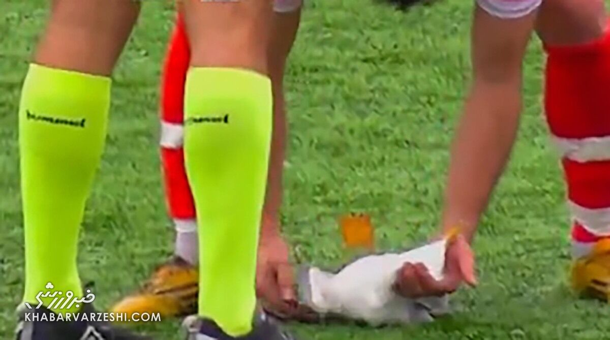 نجات مرغ دریایی توسط بازیکنان فوتبال؛ حادثهای باورنکردنی در حاشیه تمرین / نجات مرغ دریایی , بازیکنان فوتبال , فوتبال , ورزش , انسانیت