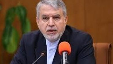 صالحی امیری: مناطق آزاد مقصد خوبی برای سفر مردم است / اخبار سیاسی روز , اخبار دولت