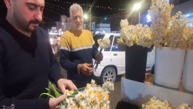 کهگیلویه و بویراحمد در شب نیمهشعبان غرق در نور و شورانتظار+فیلم و عکس / اخبار کهگیلویه و بویراحمد - اخبار استانها