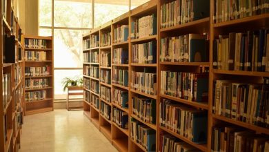 740 برنامه فرهنگی قرآنی در مازندران اجرایی میشود / اخبار مازندران - اخبار استانها