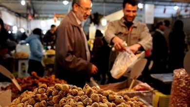 3 نمایشگاه «بهار برکت» ویژه رمضان در شیراز برپا میشود / اخبار فارس - اخبار استانها