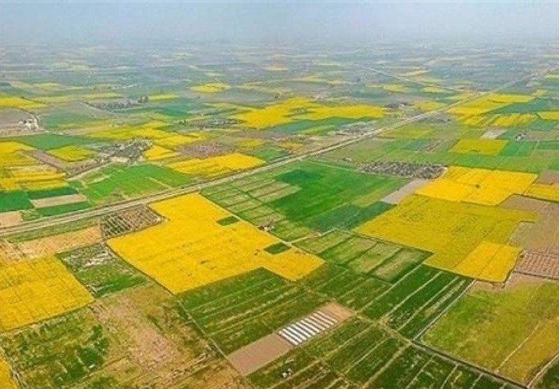 تعیین تکلیف 850 پلاک اراضی چهارمحال و بختیاری / اخبار چهارمحال و بختیاری - اخبار استانها