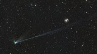 ناسا عکس دنبالهدار «ویرژوش»؛ مسافر میانستارهای که بازنمیگردد / دنبالهدار ویرژوش , ناسا , فضا , نجوم , مسافر میانستارهای