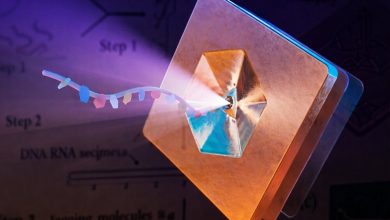 ذخیرهسازی فوقفشرده دادهها در دیانای؛ نانوتکنولوژی راهکار جدید حفاظت اطلاعات / ذخیرهسازی داده , دیانای , نانوتکنولوژی , رمزنگاری مولکولی , دانشگاه ایالتی آریزونا