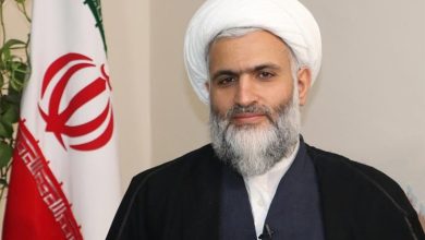 صلحمیرزایی: جهان منتظر شگفتانه ملت ایران در 22 بهمن است / اخبار سیاسی روز , اخبار سیاست داخلی