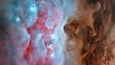 ناسا تصویر خیرهکنندهای از «سحابی مرد دونده» منتشر کرد / ناسا , سحابی مرد دونده , ستارهزایی , صورت فلکی شکارچی , ابر مولکولی