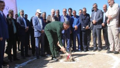 کلنگزنی 3 پروژه بزرگ انرژی خورشیدی در کهگیلویه و بویراحمد / اخبار کهگیلویه و بویراحمد - اخبار استانها