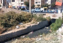 کلکسیونی از بیماری و تعفن در رودخانههای بهارستان+ فیلم / اخبار استان تهران - اخبار استانها