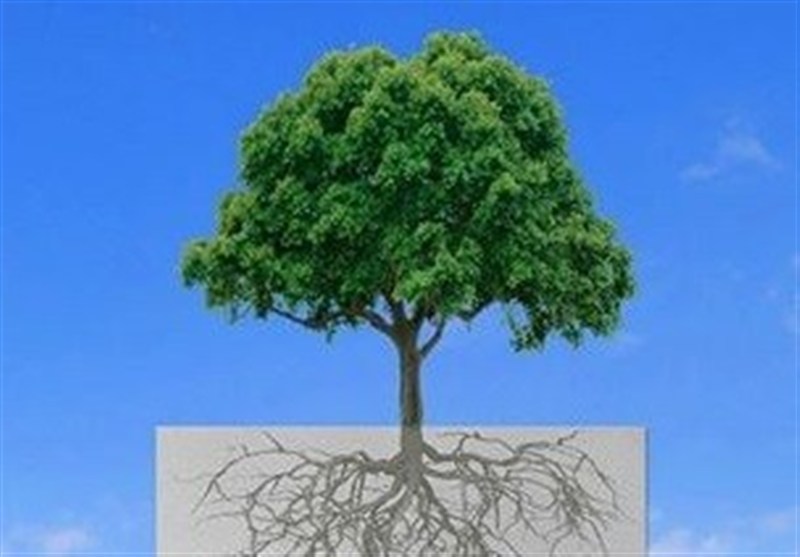 پویش جمعآوری کاغذ باطله برای مدرسهسازی در قزوین / اخبار قزوین - اخبار استانها