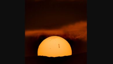 لکههای خورشیدی فعال AR 4366 بزرگتر از زمین، شرارههای قدرتمندی تولید کرد / خورشید , لکه خورشیدی , شراره خورشیدی , ناسا , شفق قطبی