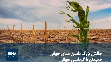 گرمایش جهانی؛ چالش بزرگ تأمین غذای جهان را تشدید میکند / گرمایش جهانی , تأمین غذا , امنیت غذایی , تغییر اقلیم , کشاورزی