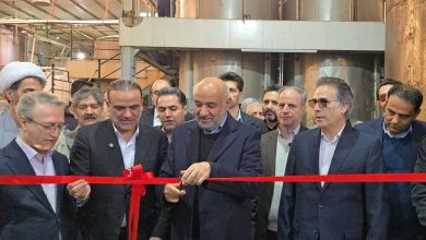 وزیر کار: تزریق بیش از حد تسهیلات بانکی به تولیدکنندگان چالشزا میشود / تسهیلات بانکی , سرمایه در گردش , تعاونی ها , کشتارگاه طیور , رقابت در بازار