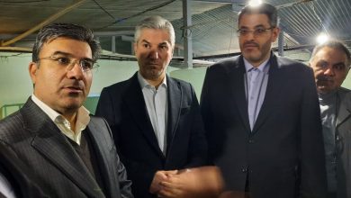 افتتاح ۹۵ پروژه شاخص اقتصادی در تهران با بیش از ۶۰ همت اعتبار / پروژههای اقتصادی , استان تهران , دهه فجر , سرمایهگذاری , ماهی خاویاری