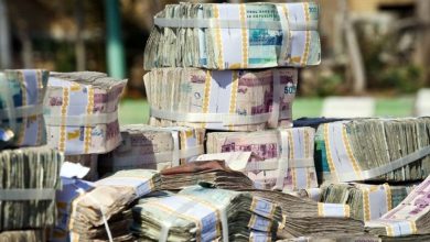 عضو هیئت عامل صندوق توسعه ملی: نقدینگی ۱۳ هزار همتی مانع رونق بنگاههای اقتصادی شده است / نقدینگی , صندوق توسعه ملی , تسهیلات ارزی , تولید ملی , خودکفایی