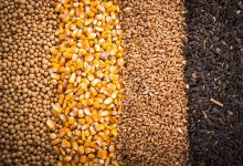 اجرای طرح اعتباری صفر درصد برای نهادههای دامی / اخبار سمنان - اخبار استانها