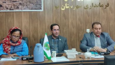 پروژه مشترک منابع طبیعی و برنامه توسعه سازمان ملل در بم پس از یک دهه احیا شد / منابع طبیعی , UNDP , مزرعه خورشیدی , معیشت پایدار , بم